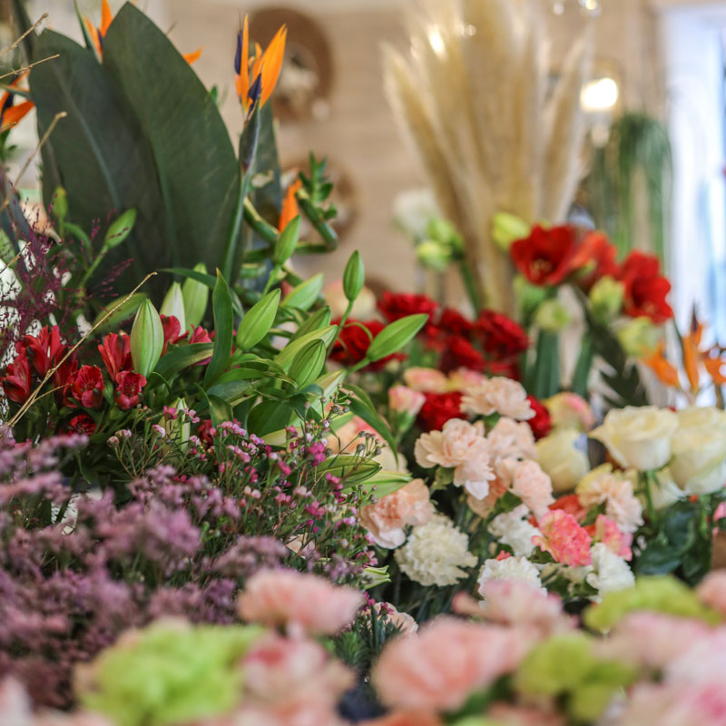 parenthese-fleurie-fleurs1